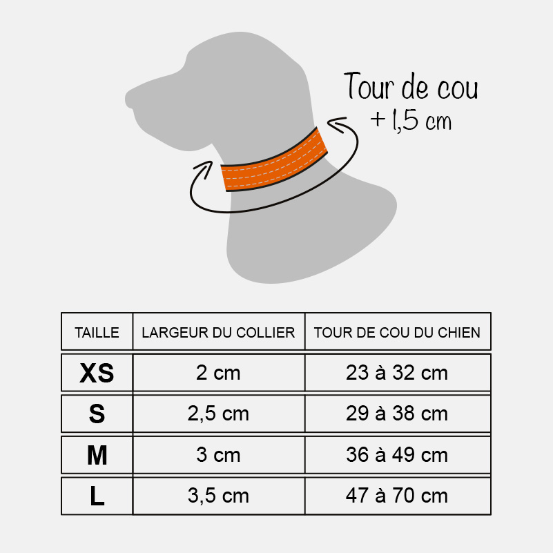 Collier réfléchissant fluo pour chien