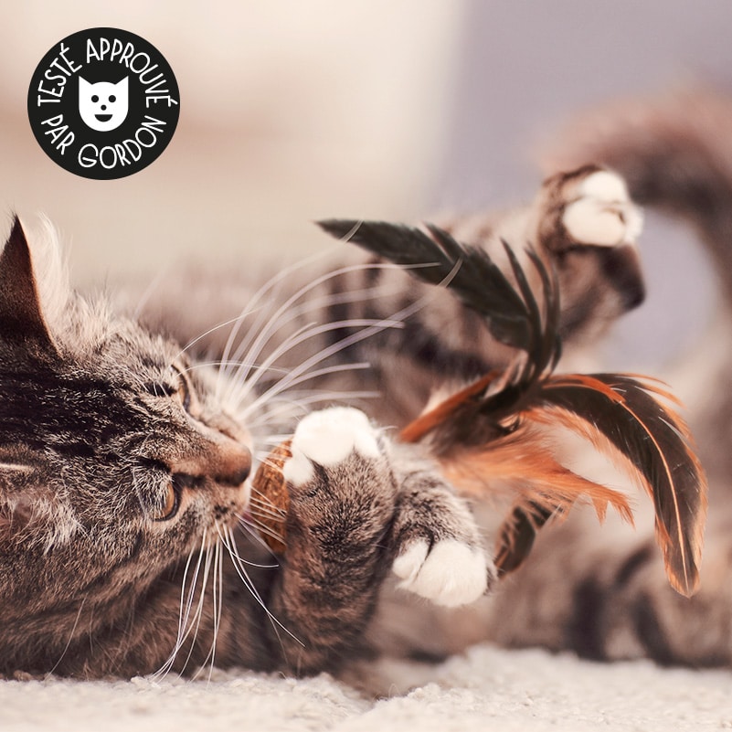Balle de cataire pour chat à grandes plumes - Herbe à chat - Catedogshop