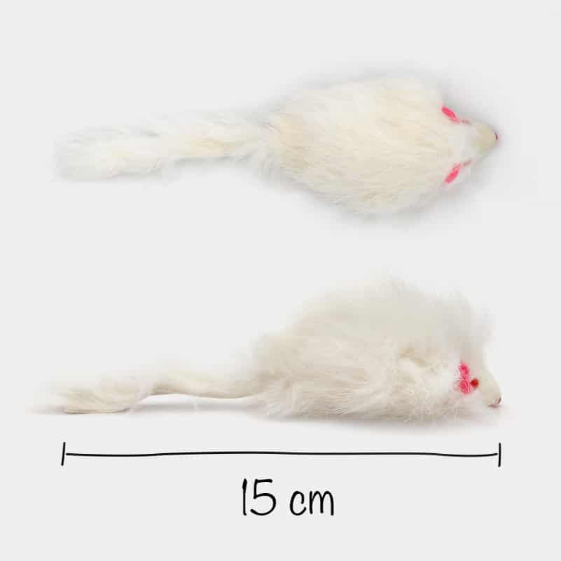 Souris en tissu pour chat à longue queue - Catedogshop