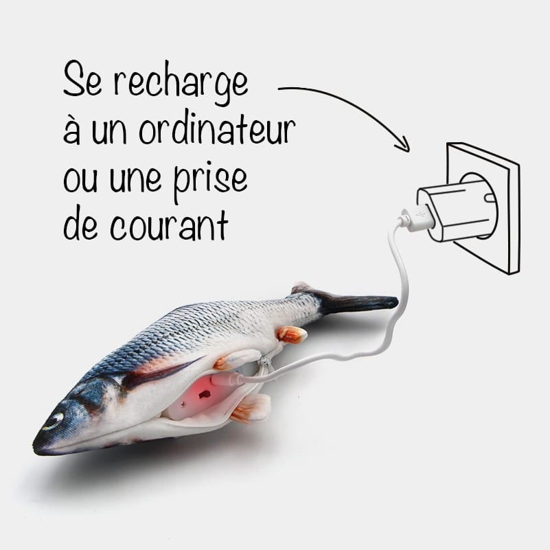Jouet poisson Rainbow - Pour chat - Mr.Bricolage