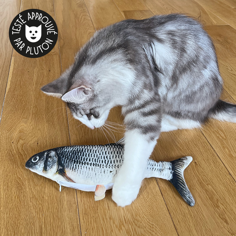 JOUETS POISSON / REMBOURRES A L'HERBE A CHAT – CATSIMO
