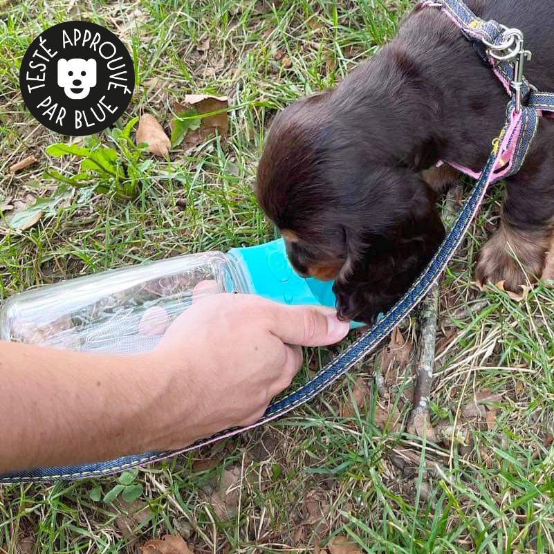 Bouteille d'eau pour chien de voyage, fontaine à boire pour chien pour la  marche de chien, bouteille de nourriture pour chien, randonnée