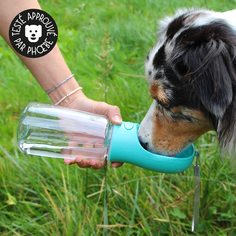 Gourde avec distributeur d'eau pour chien