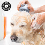 Brosse distributrice de shampoing pour laver le chien